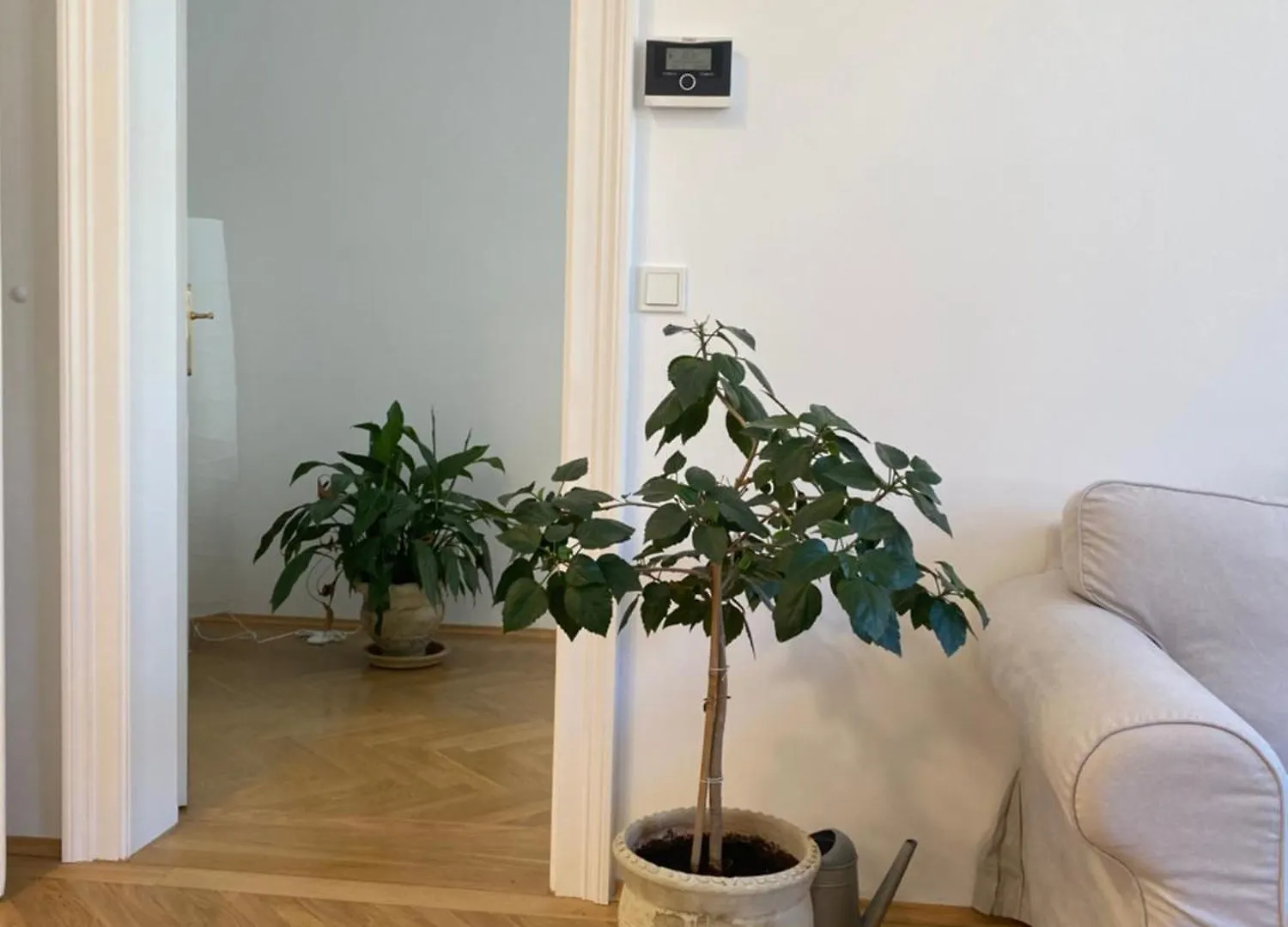 Dream Of Ottakring Apartment Vienna